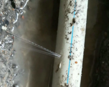 东洲卫生间测漏水多少钱