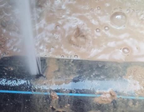 东洲卫生间防水哪家好